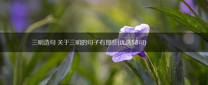 三明造句 关于三明的句子有那些(优选58句),第1张