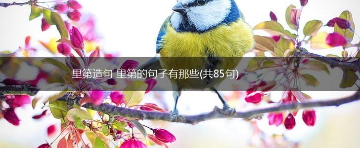 里第造句 里第的句子有那些(共85句),第1张