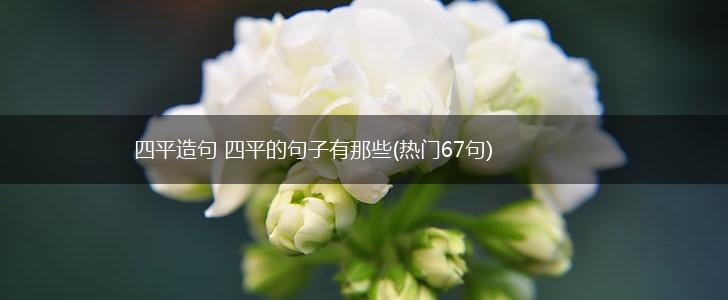 四平造句 四平的句子有那些(热门67句),第1张