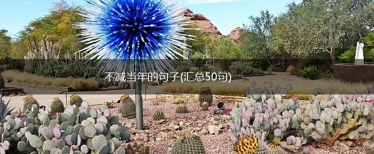 不减当年的句子(汇总50句),第1张
