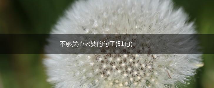 不够关心老婆的句子(51句),第1张