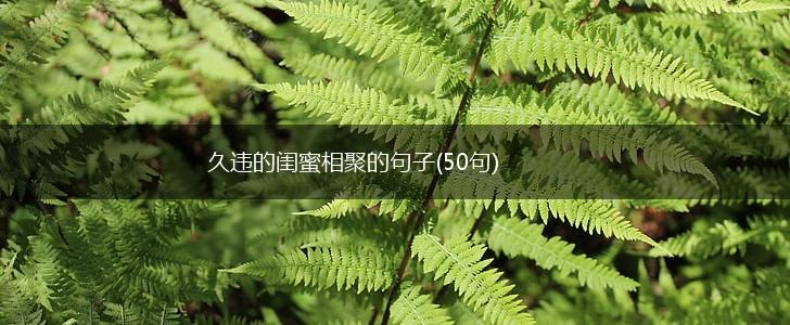 久违的闺蜜相聚的句子(50句),第1张