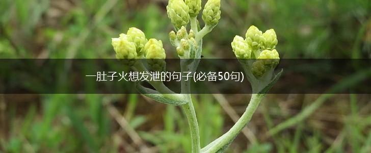 一肚子火想发泄的句子(必备50句),第1张