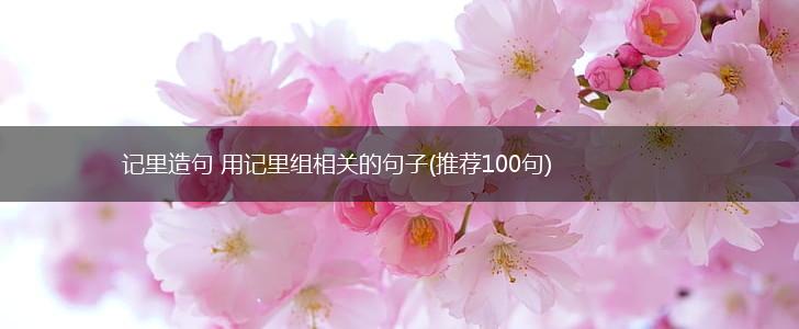 记里造句 用记里组相关的句子(推荐100句),第1张