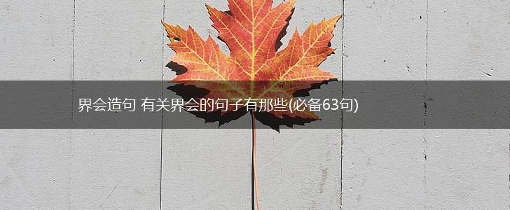 界会造句 有关界会的句子有那些(必备63句),第1张