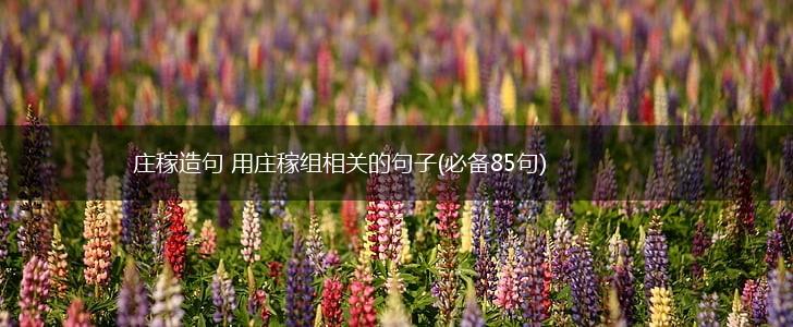 庄稼造句 用庄稼组相关的句子(必备85句),第1张