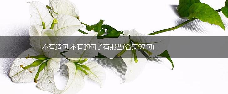 不有造句 不有的句子有那些(合集97句),第1张