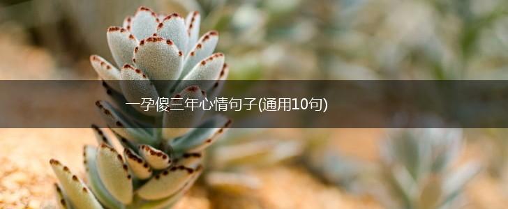 一孕傻三年心情句子(通用10句),第1张
