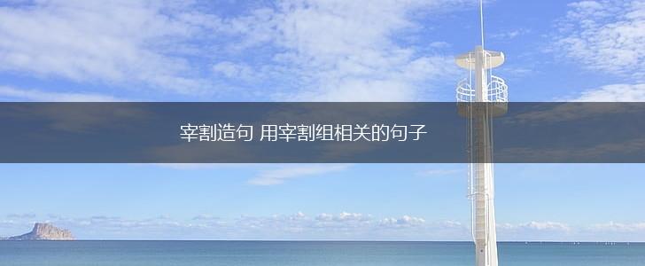 宰割造句 用宰割组相关的句子,第1张