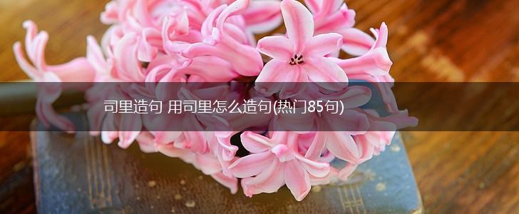 司里造句 用司里怎么造句(热门85句),第1张