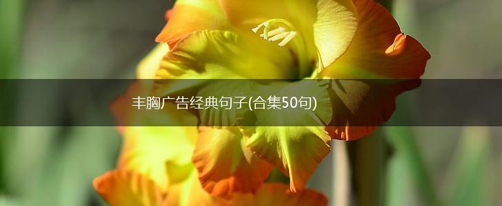 丰胸广告经典句子(合集50句),第1张