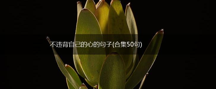 不违背自己的心的句子(合集50句),第1张