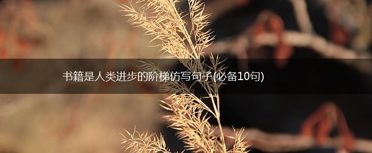 书籍是人类进步的阶梯仿写句子(必备10句),第1张