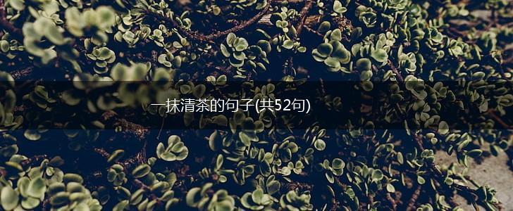 一抹清茶的句子(共52句),第1张