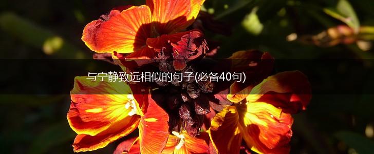 与宁静致远相似的句子(必备40句),第1张