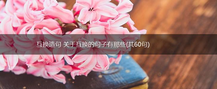 互换造句 关于互换的句子有那些(共60句),第1张