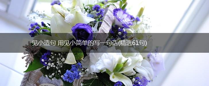 见小造句 用见小简单的写一句话(精选61句),第1张