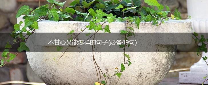 不甘心又能怎样的句子(必备49句),第1张
