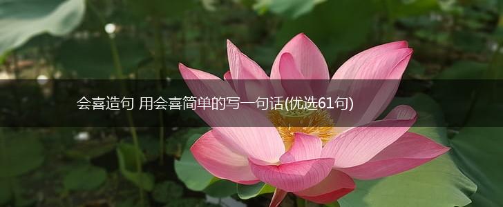 会喜造句 用会喜简单的写一句话(优选61句),第1张
