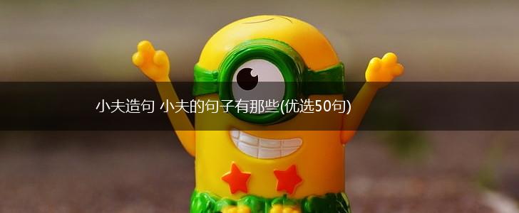 小夫造句 小夫的句子有那些(优选50句),第1张
