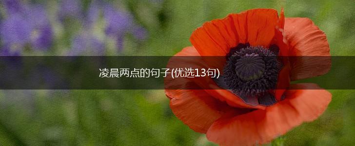 凌晨两点的句子(优选13句),第1张