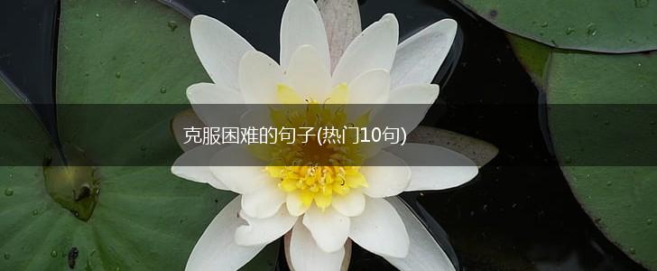 克服困难的句子(热门10句),第1张