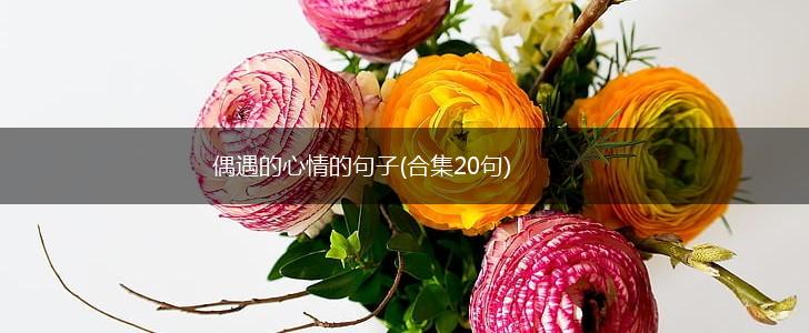 偶遇的心情的句子(合集20句),第1张