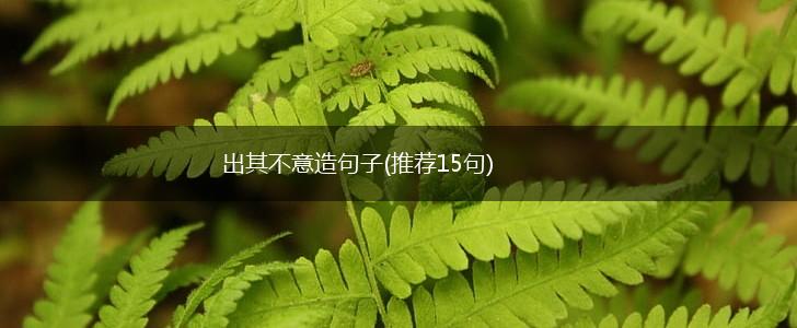 出其不意造句子(推荐15句),第1张