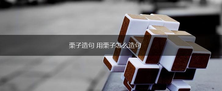 栗子造句 用栗子怎么造句,第1张