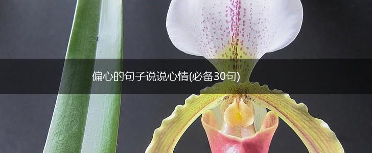 偏心的句子说说心情(必备30句),第1张