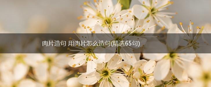 肉片造句 用肉片怎么造句(精选65句),第1张