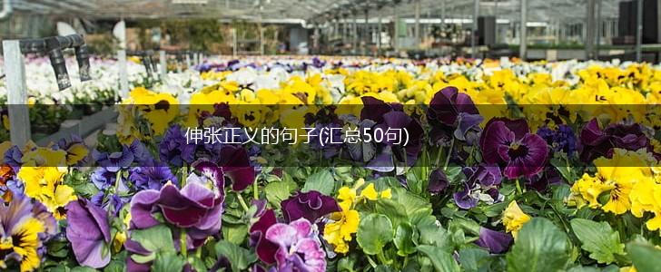 伸张正义的句子(汇总50句),第1张