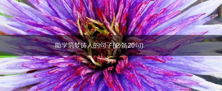 助学筑梦铸人的句子(必备20句),第1张