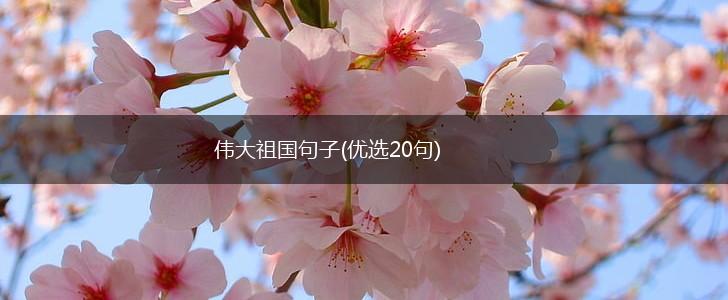 伟大祖国句子(优选20句),第1张