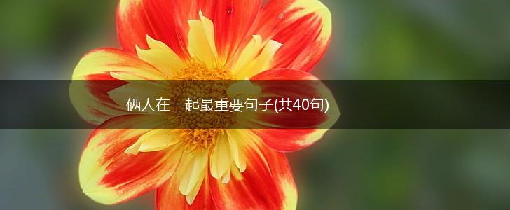 俩人在一起最重要句子(共40句),第1张