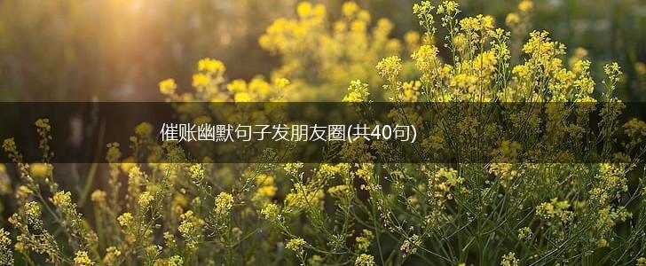 催账幽默句子发朋友圈(共40句),第1张