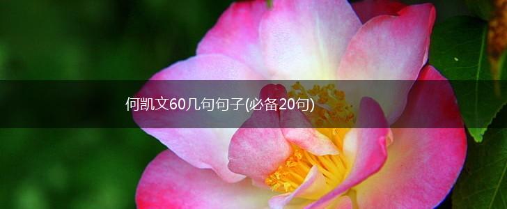 何凯文60几句句子(必备20句),第1张