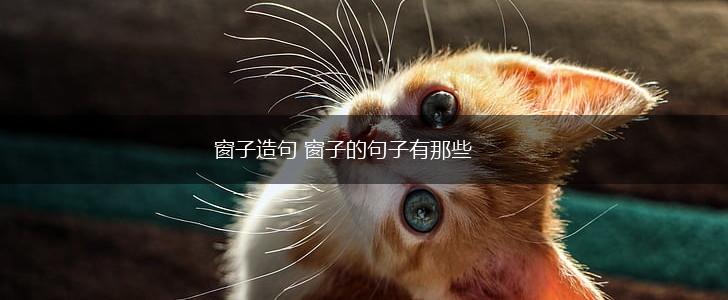 窗子造句 窗子的句子有那些,第1张