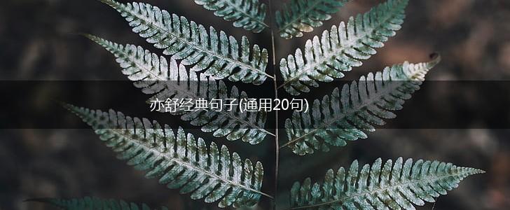 亦舒经典句子(通用20句),第1张