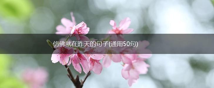 仿佛就在昨天的句子(通用50句),第1张