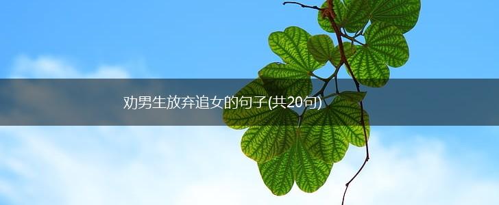 劝男生放弃追女的句子(共20句),第1张