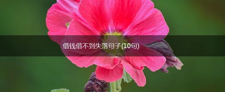 借钱借不到失落句子(10句),第1张