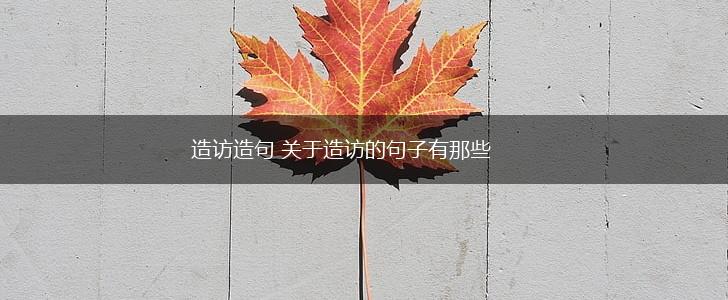 造访造句 关于造访的句子有那些,第1张