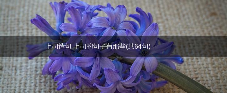 上司造句 上司的句子有那些(共64句),第1张