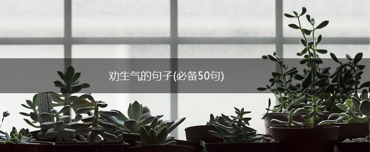 劝生气的句子(必备50句),第1张