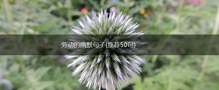 劳动的幽默句子(推荐50句),第1张