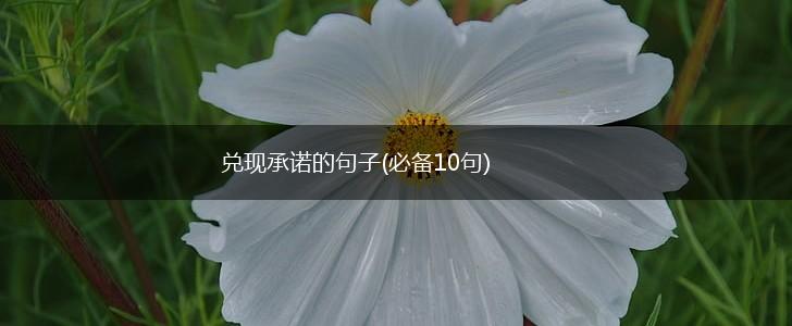 兑现承诺的句子(必备10句),第1张