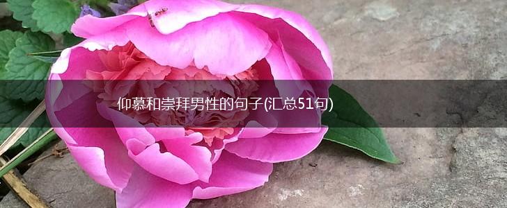 仰慕和崇拜男性的句子(汇总51句),第1张