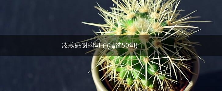 凑款感谢的句子(精选50句),第1张