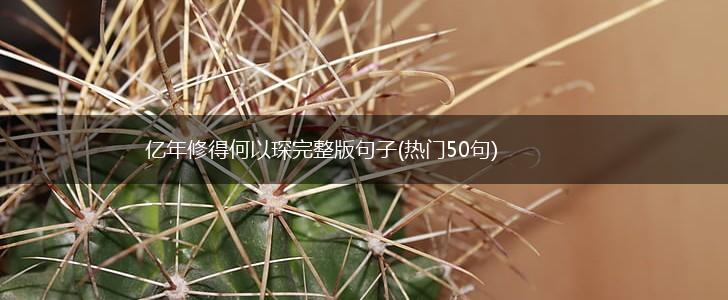 亿年修得何以琛完整版句子(热门50句),第1张